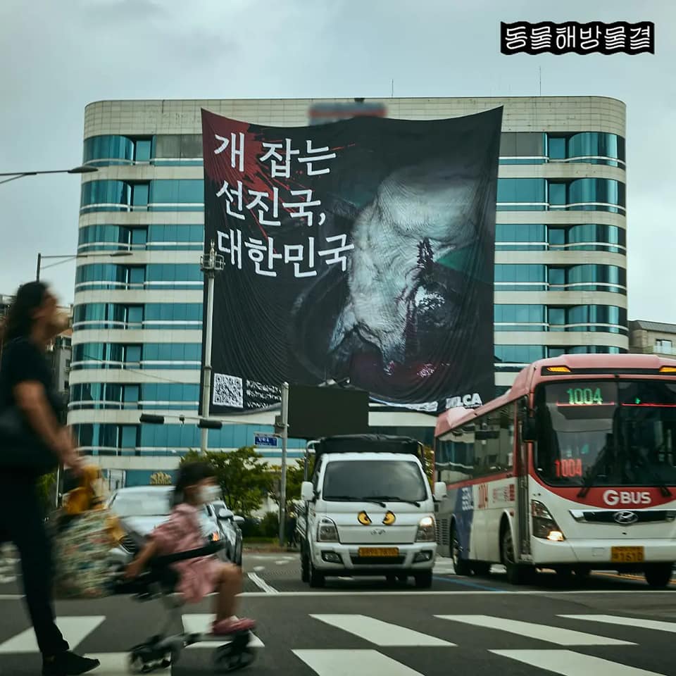 사진출처=동물해방물결 페이스북