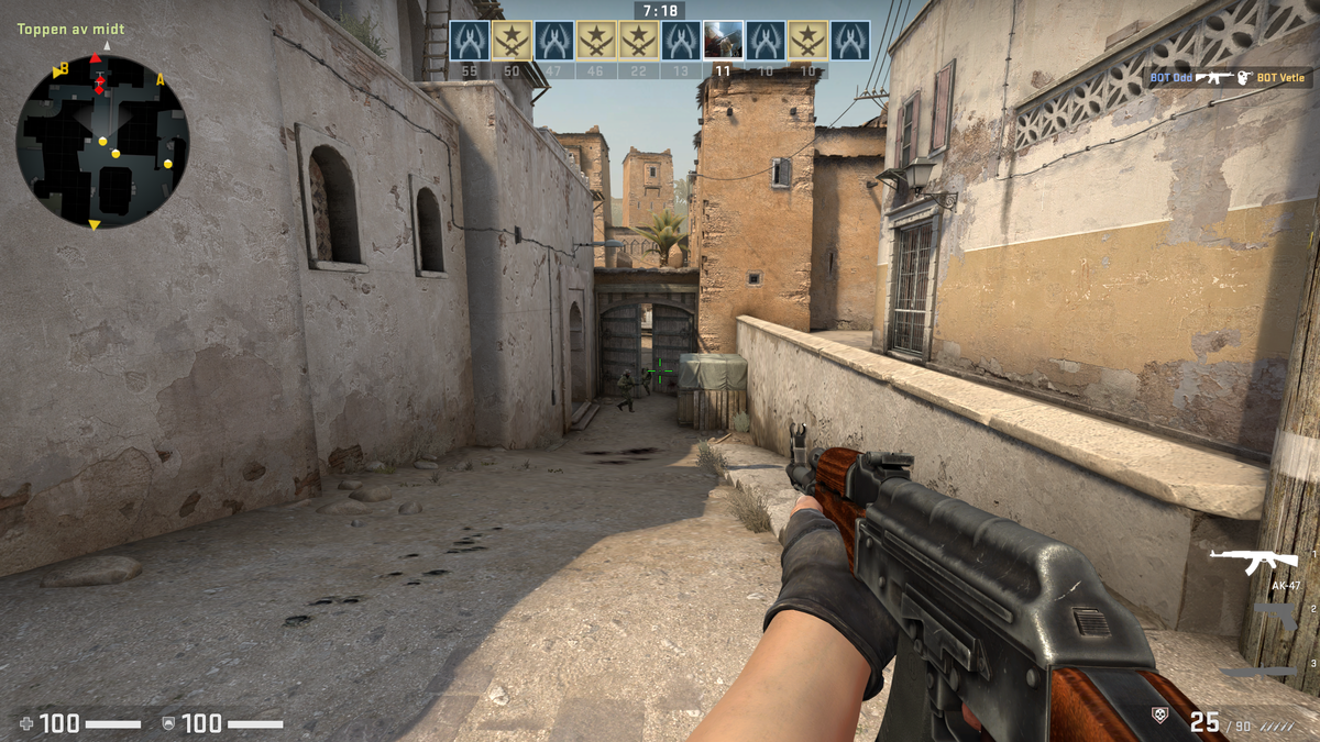 FPS 게임 의 게임 장면. 