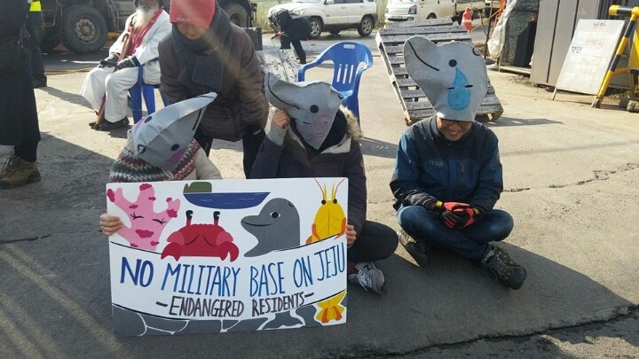 [사진2] 2015.1.22.강정 바다 비인간주민들을 대신해 제주해군기지 건설 반대 행동을 펼치는 모습 Ⓒ핫핑크돌핀스