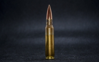bullet-5039951_1280