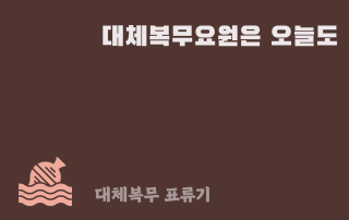대체복무 표류기6