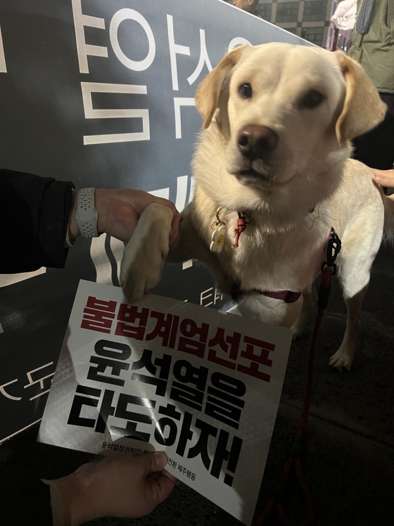 KakaoTalk_20250131_004118430